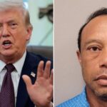 Tiger Woods declines Ryder Cup captaincy as Donald Trump comments on golfer's health struggles