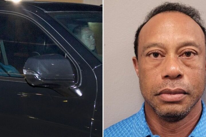 Tiger Woods 'embarrassed and ashamed' after arrest, prioritizing treatment over golf