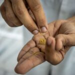 Trump signs executive order to fast-track ibogaine research for mental health treatments