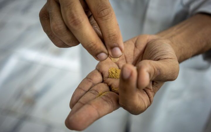 Trump signs executive order to fast-track ibogaine research for mental health treatments