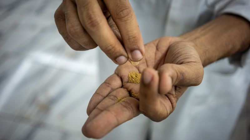 Trump signs executive order to fast-track ibogaine research for mental health treatments