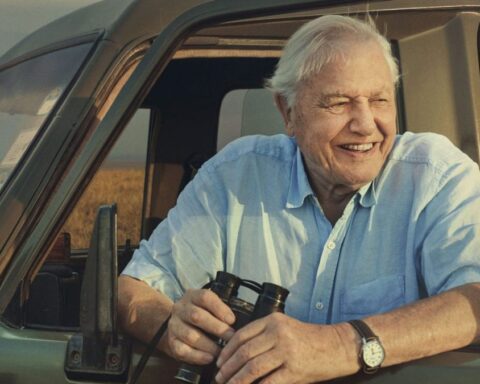 Celebrating David Attenborough's 100th birthday with his most memorable TV moments