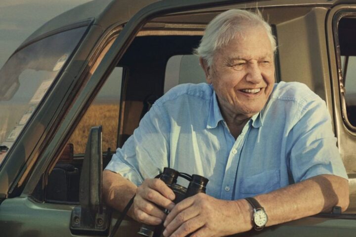 Celebrating David Attenborough's 100th birthday with his most memorable TV moments