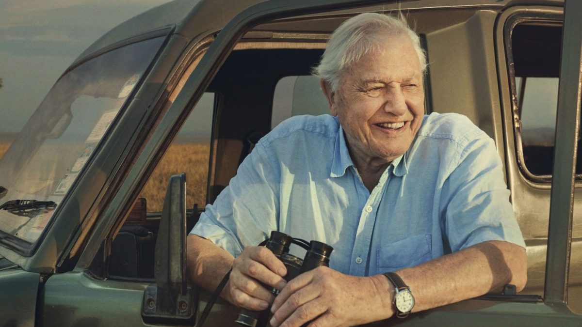 Celebrating David Attenborough's 100th birthday with his most memorable TV moments