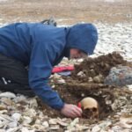 DNA analysis identifies four sailors from Franklin expedition, resolving historical mysteries