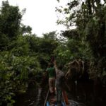 Ebola outbreak in DRC linked to bushmeat practices and burial customs