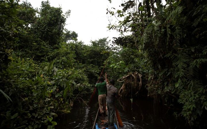 Ebola outbreak in DRC linked to bushmeat practices and burial customs