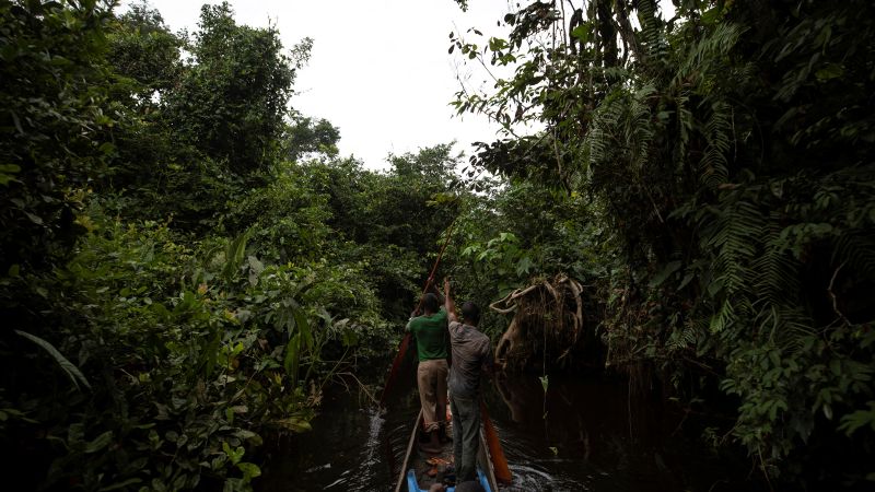 Ebola outbreak in DRC linked to bushmeat practices and burial customs