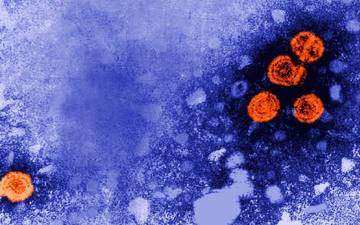 Experimental hepatitis B drug shows promise of functional cure for some patients