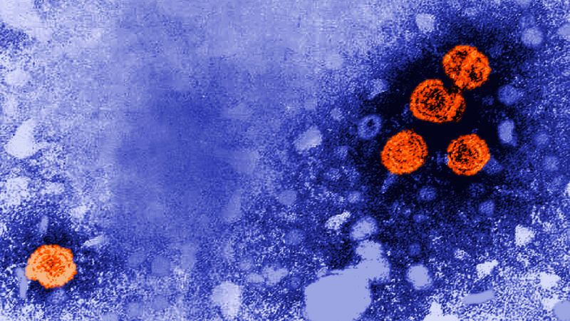 Experimental hepatitis B drug shows promise of functional cure for some patients