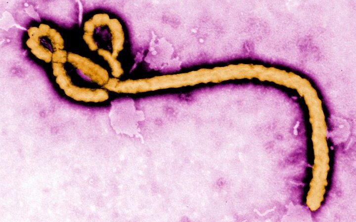 New Ebola outbreak confirmed in Congo’s Ituri province, with 246 suspected cases and 65 deaths