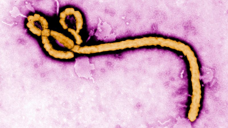 New Ebola outbreak confirmed in Congo’s Ituri province, with 246 suspected cases and 65 deaths