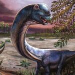New giant dinosaur species identified from fossils discovered in Thailand