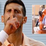 Novak Djokovic poised to capitalise on Jannik Sinner's shocking French Open exit