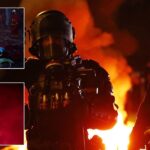 Over 750 arrested and 219 injured amid PSG Champions League celebrations in Paris