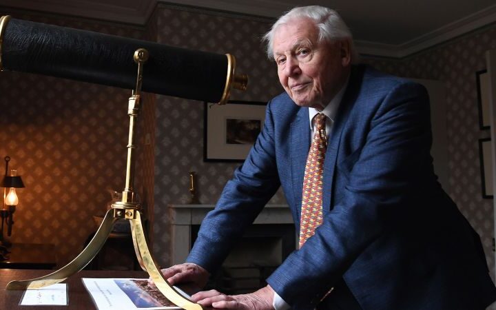 Scientists name new wasp species after David Attenborough to mark his 100th birthday