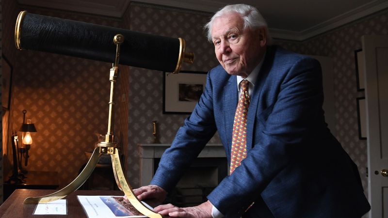 Scientists name new wasp species after David Attenborough to mark his 100th birthday