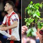 Southampton expelled from Championship play-offs over 'spygate' scandal, points deduction confirmed