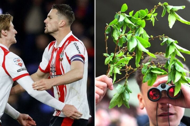 Southampton expelled from Championship play-offs over 'spygate' scandal, points deduction confirmed