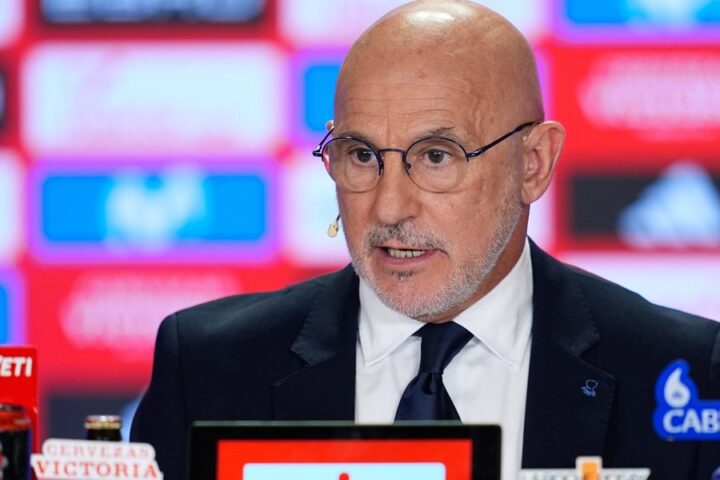 Spain's Luis de la Fuente defends World Cup squad selection without Real Madrid players