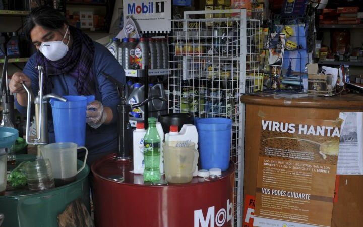 Understanding the Andes hantavirus transmission in recent Argentine outbreak