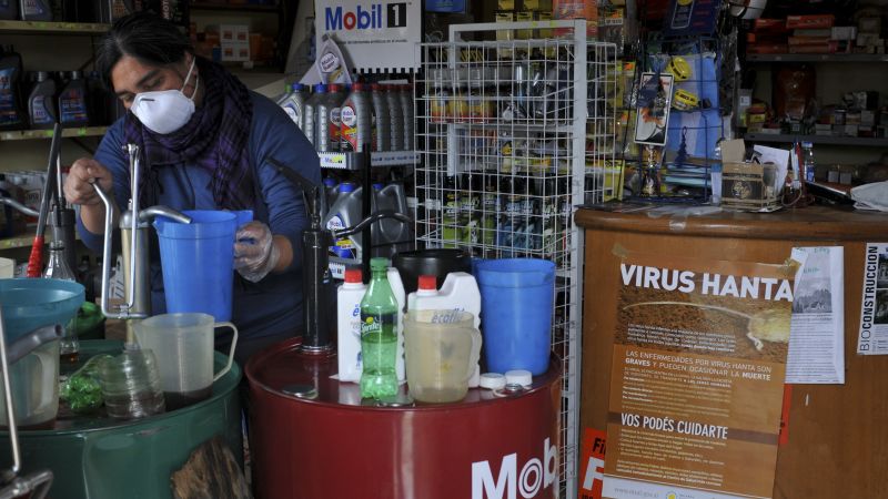 Understanding the Andes hantavirus transmission in recent Argentine outbreak