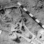 Ancient DNA reveals plague's impact on hunter-gatherer communities 5,500 years ago