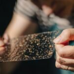 Community-led initiative combats mosquito surge in Washington, D.C.