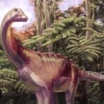 Fossil discovered in drawer identified as first dinosaur bone from Antarctica