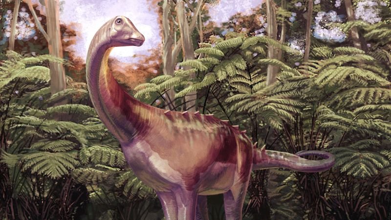 Fossil discovered in drawer identified as first dinosaur bone from Antarctica