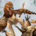 Fossil discovery sheds light on ancient microraptor that hunted birds 120 million years ago