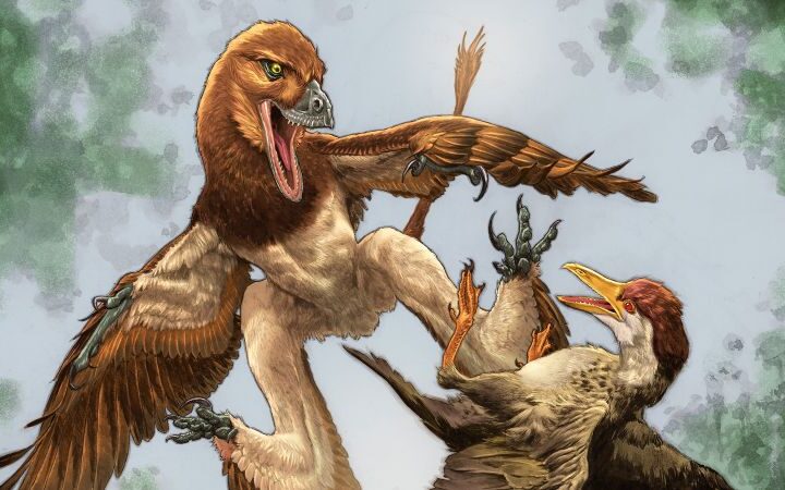Fossil discovery sheds light on ancient microraptor that hunted birds 120 million years ago