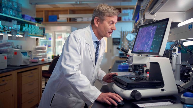 Gut health may play a crucial role in improving cancer treatment outcomes