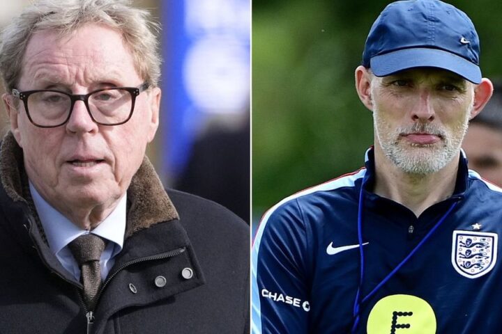 Harry Redknapp questions Thomas Tuchel's decision to exclude Cole Palmer from England's World Cup squad