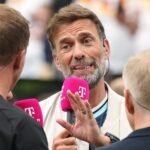 Jurgen Klopp dismisses Rafael van der Vaart's criticism of Virgil van Dijk