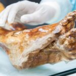 Ötzi the Iceman's ancient microbes remain viable and could be multiplying