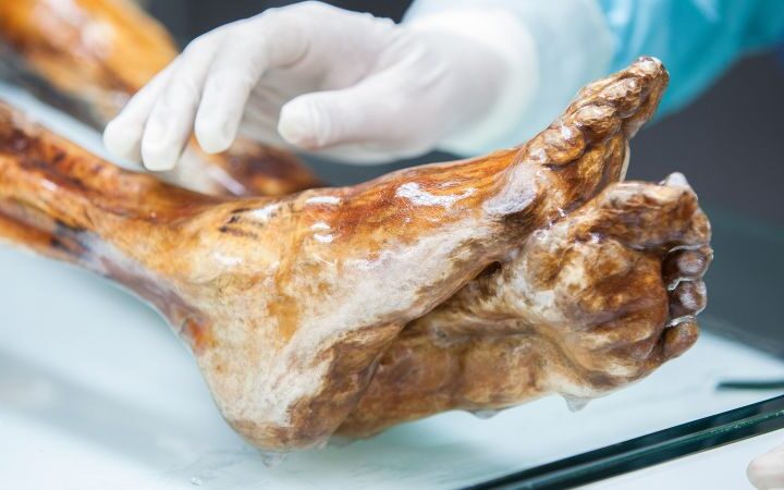 Ötzi the Iceman's ancient microbes remain viable and could be multiplying
