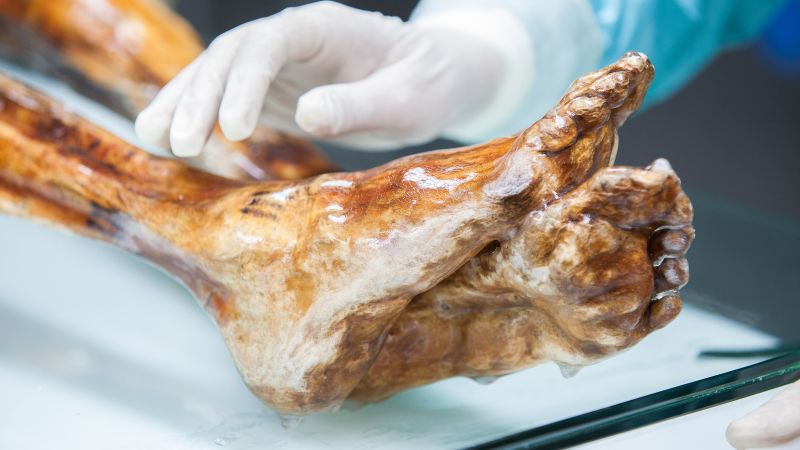 Ötzi the Iceman's ancient microbes remain viable and could be multiplying