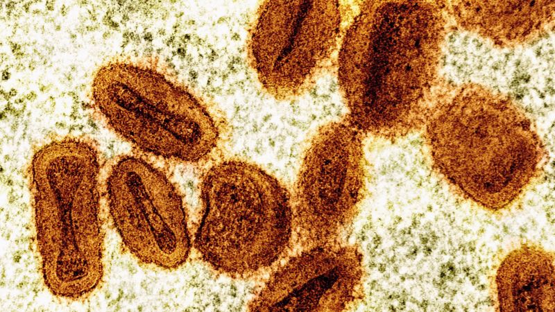 Two scientists charged with smuggling deactivated mpox virus into the US