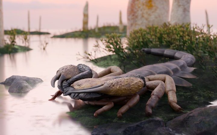 UK scientists identify ancient scorpion species measuring three feet, previously misclassified for over a century