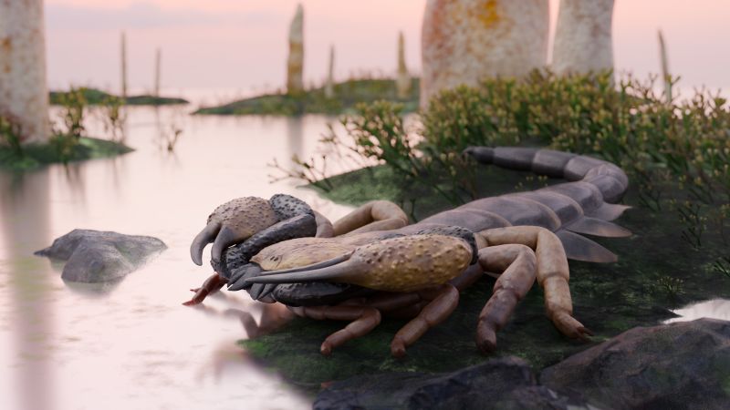 UK scientists identify ancient scorpion species measuring three feet, previously misclassified for over a century