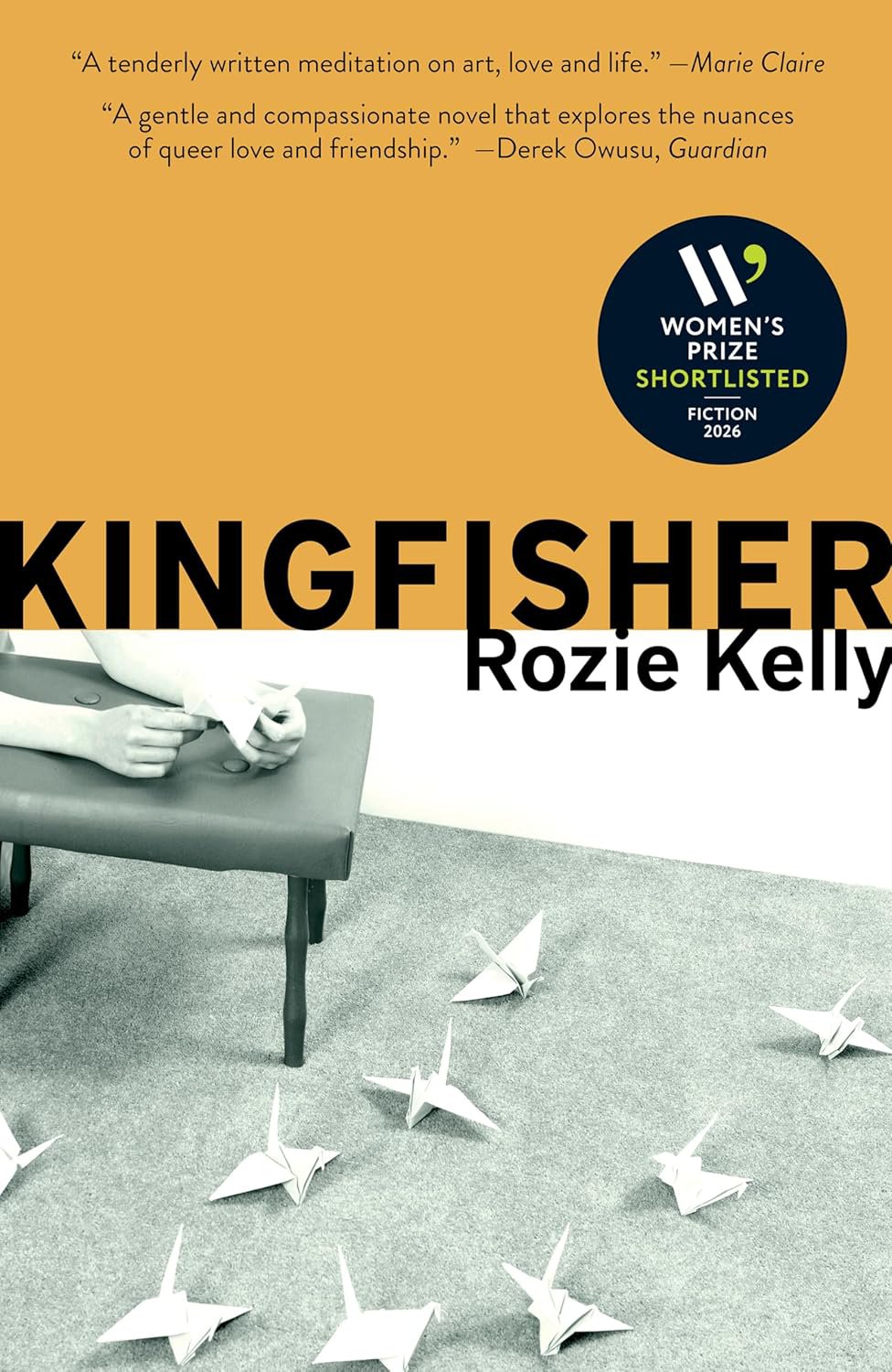 Women’s Prize for Fiction shortlist highlights debut authors and independent publishers