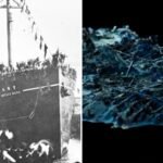 Wreck of WWII ‘hell ship’ transporting Allied POWs found after 80 years