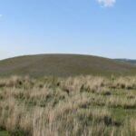 Ancient DNA provides insights into the Scythian elites and the legacy of the Golden Man