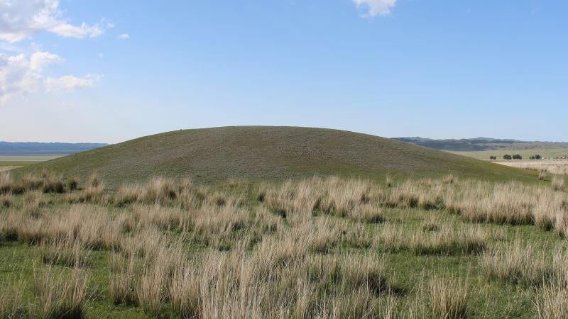 Ancient DNA provides insights into the Scythian elites and the legacy of the Golden Man