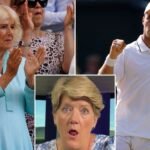 Arthur Fery reaches Wimbledon semi-finals after impressive victory as Queen Camilla makes surprise visit