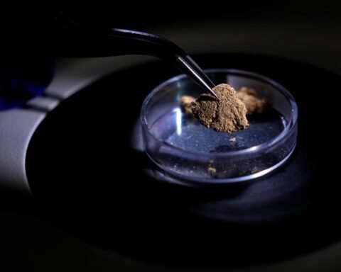 Brazil employs forensic science to combat illegal gold mining and protect the Amazon