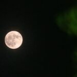 Buck moon to shine bright this July, offering a prime viewing opportunity for enthusiasts