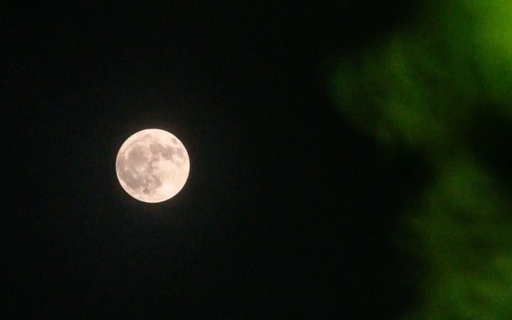 Buck moon to shine bright this July, offering a prime viewing opportunity for enthusiasts