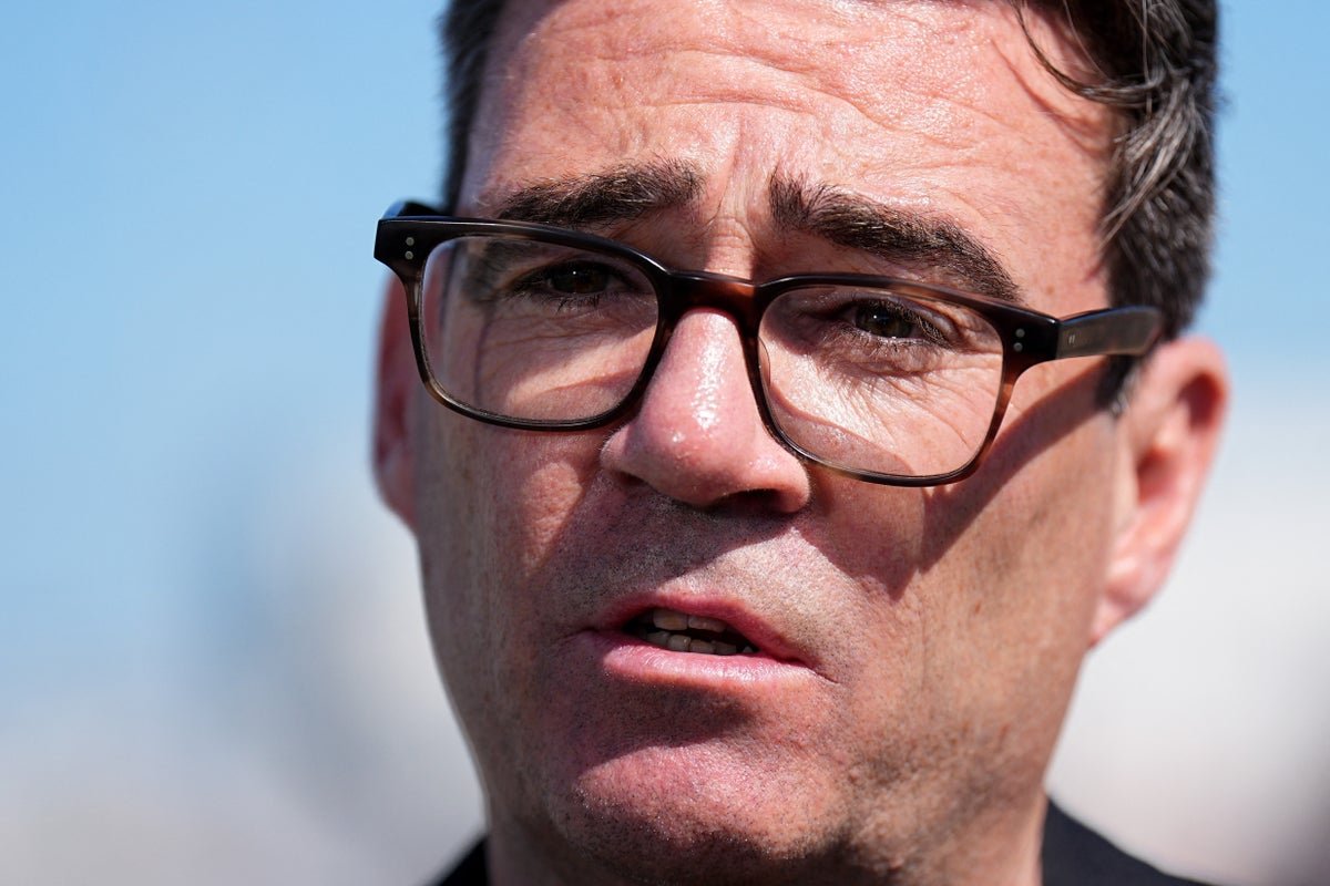 Burnham proposes major education reform to prioritize vocational training over university preparation